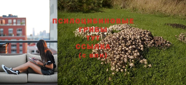 мескалин Краснотурьинск